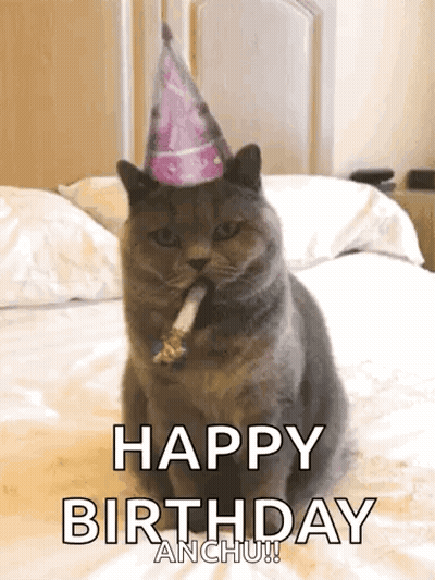 A Cat Wearing A Party Hat Is Sitting On A Bed GIF