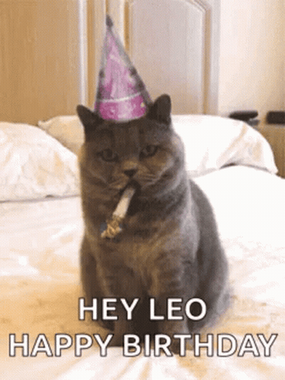 A Cat Wearing A Party Hat Is Sitting On A Bed With A Cigarette In Its Mouth . GIF