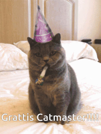 A Cat Wearing A Party Hat Is Sitting On A Bed With The Text Grattis Catmaster GIF