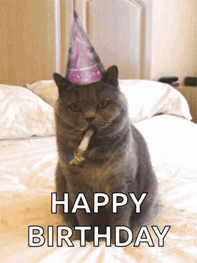 A Cat Wearing A Party Hat Is Sitting On A Bed With The Words Happy Birthday On The Bottom GIF