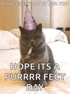 A Cat Wearing A Party Hat Is Smoking A Cigarette . GIF