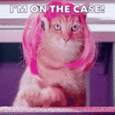 A Cat Wearing A Pink Wig And A Pink Hat Is Sitting On A Shelf . GIF