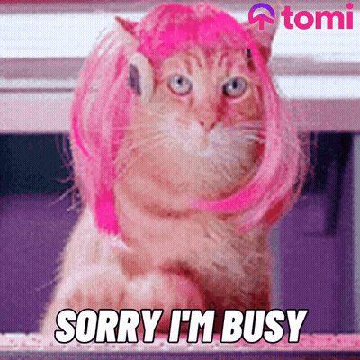A Cat Wearing A Pink Wig With The Words Sorry I 'M Busy Below It GIF