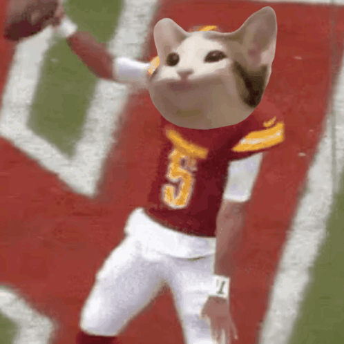 A Cat Wearing A Red And White Jersey With The Number 5 On It GIF