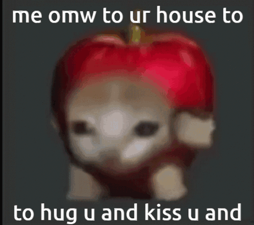 A Cat Wearing A Red Apple Costume With The Words " Me Omw To Ur House To To Hug U And Kiss U And " GIF