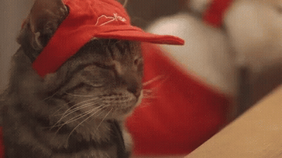 A Cat Wearing A Red Hat With A Heart On It Is Sitting On A Table . GIF