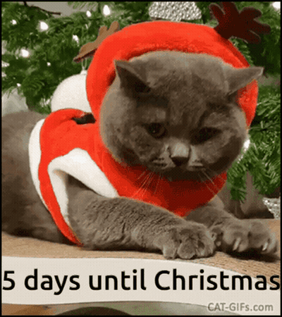 A Cat Wearing A Santa Claus Outfit Is Laying On A Christmas Tree GIF