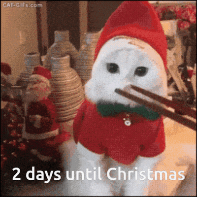 A Cat Wearing A Santa Hat And A Bow Tie Is Holding Chopsticks In Its Mouth .. GIF