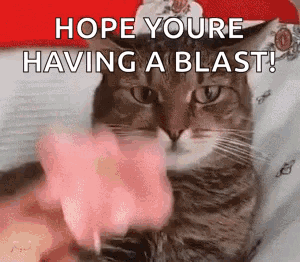 A Cat Wearing A Santa Hat Is Laying On A Bed And Pointing At The Camera . GIF