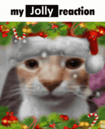 A Cat Wearing A Santa Hat Is Surrounded By Christmas Decorations And Says My Jolly Reaction GIF