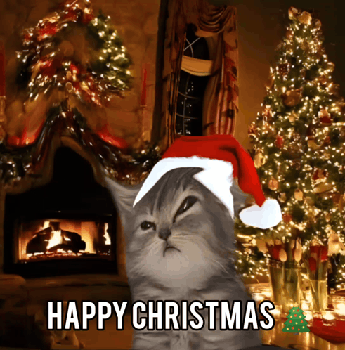A Cat Wearing A Santa Hat Wishes You Happy Christmas GIF