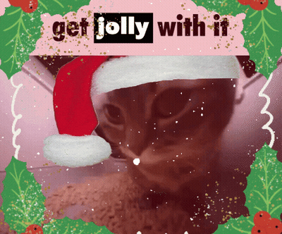 A Cat Wearing A Santa Hat With The Words Get Jolly With It Behind It GIF