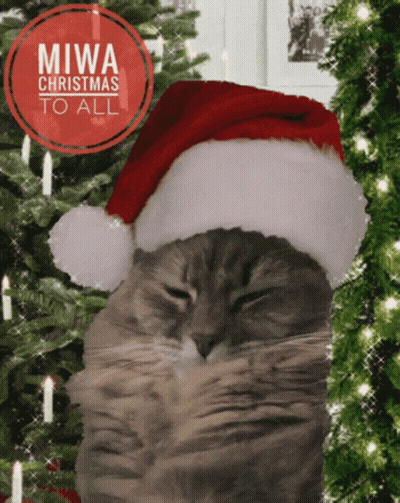 A Cat Wearing A Santa Hat With The Words Miwa Christmas To All GIF