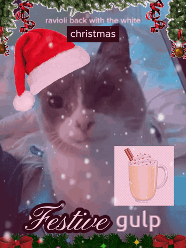 A Cat Wearing A Santa Hat With The Words Ravioli Back With The White Christmas GIF