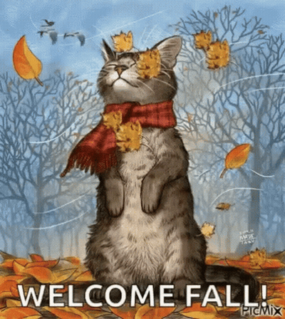 A Cat Wearing A Scarf And Leaves Is Standing In A Pile Of Leaves With The Words Welcome Fall . GIF