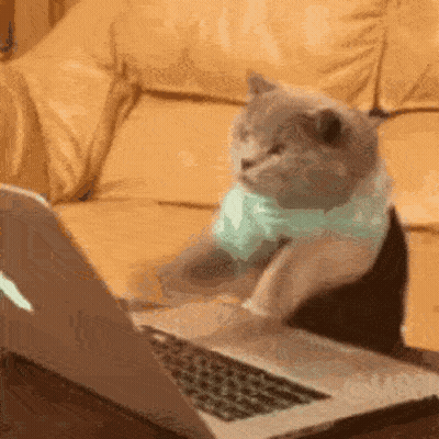 A Cat Wearing A Scarf Sits At A Laptop GIF
