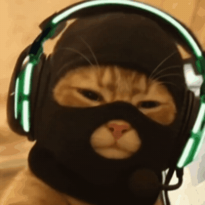 A Cat Wearing A Ski Mask And Headphones Is Looking At The Camera . GIF