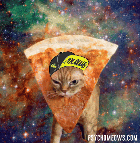 A Cat Wearing A Slice Of Pizza With A Hat That Says Mous GIF
