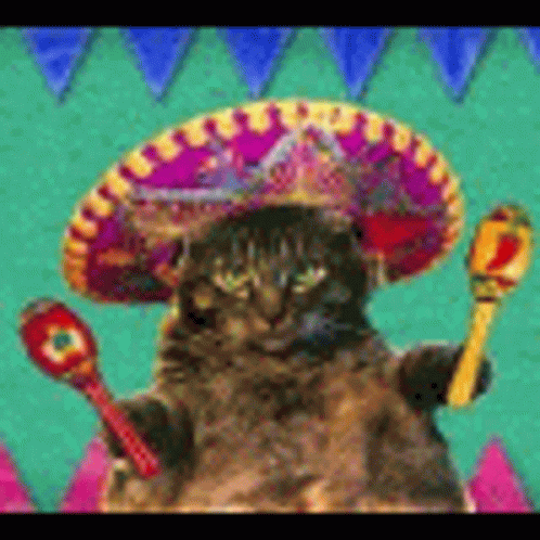 A Cat Wearing A Sombrero And Holding Maracas Is Sitting On A Table . GIF