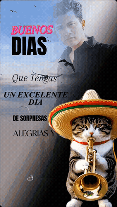 A Cat Wearing A Sombrero And Playing A Trumpet With A Man In The Background GIF