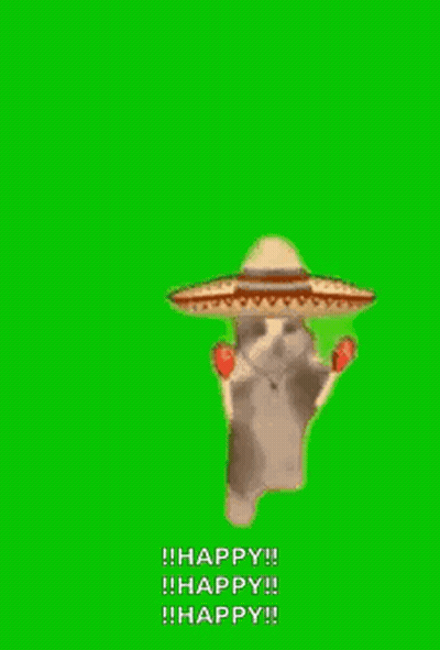 A Cat Wearing A Sombrero Is Dancing On A Green Screen . GIF