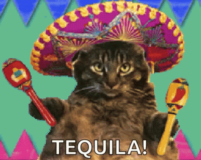 A Cat Wearing A Sombrero Is Holding A Maraca And The Word Tequila Is Above It GIF