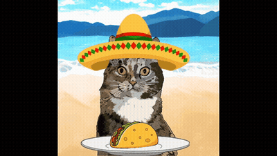 A Cat Wearing A Sombrero Is Holding A Plate Of Tacos GIF