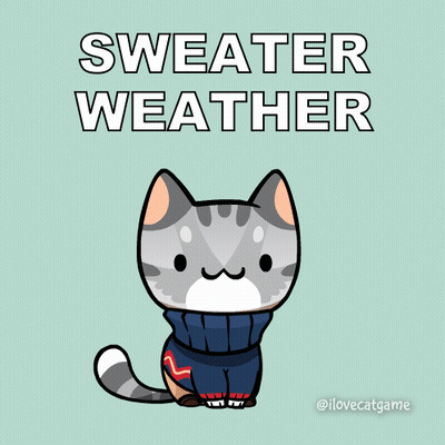 A Cat Wearing A Sweater With The Words Sweater Weather Written Above It GIF
