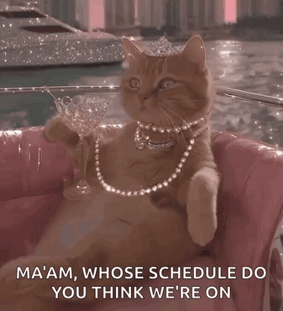 A Cat Wearing A Tiara And Pearls Is Holding A Glass Of Wine GIF