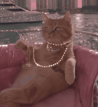 A Cat Wearing A Tiara And Pearls Sits On A Pink Chair Holding A Glass GIF