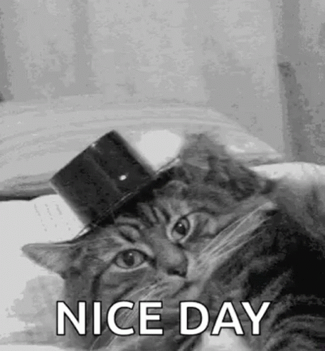 A Cat Wearing A Top Hat Is Laying On A Bed And Saying `` Nice Day '' . GIF