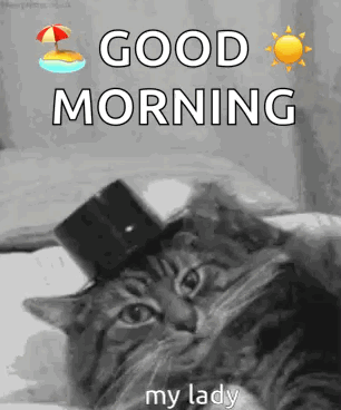 A Cat Wearing A Top Hat With The Words `` Good Morning My Lady '' Written Above It . GIF