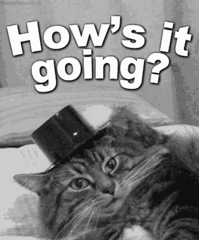 A Cat Wearing A Top Hat With The Words " How 'S It Going " Above It GIF
