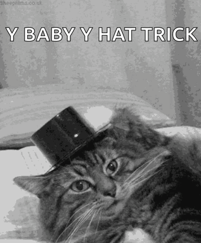 A Cat Wearing A Top Hat With The Words Y Baby Y Hat Trick Below It GIF