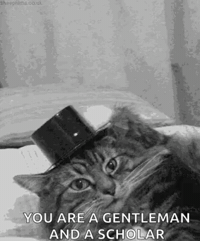 A Cat Wearing A Top Hat With The Words `` You Are A Gentleman And A Scholar '' On It . GIF