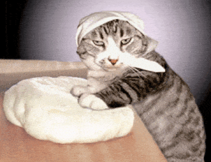 A Cat Wearing A Towel On Its Head Is Playing With A Piece Of Dough GIF