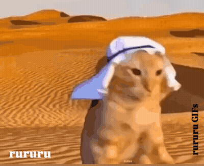 A Cat Wearing A Turban In The Desert With Rururu Written On The Bottom GIF