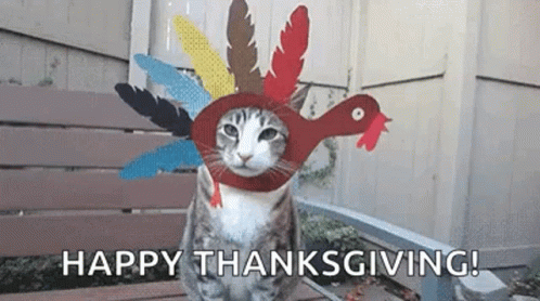 A Cat Wearing A Turkey Hat Is Sitting On A Bench And Wishing Everyone A Happy Thanksgiving . GIF
