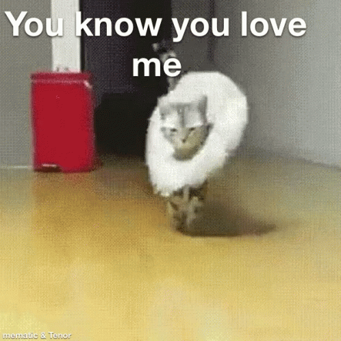 A Cat Wearing A White Feathered Hat Is Walking On The Floor . GIF
