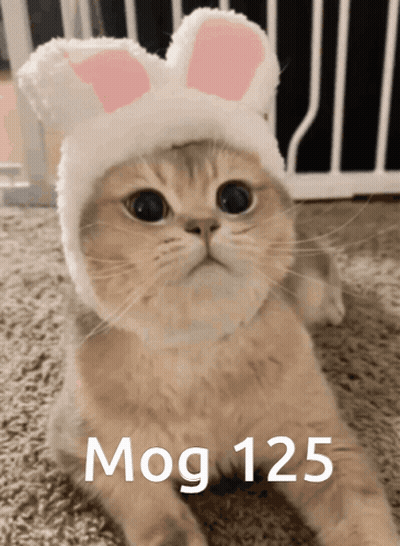 A Cat Wearing A White Hat With Pink Bunny Ears Says Mog 125 On The Bottom GIF