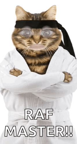 A Cat Wearing A White Robe And Black Headband With Raf Master Written Below It GIF