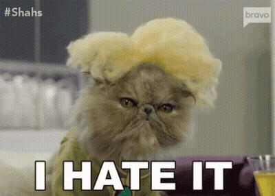 A Cat Wearing A Wig And A Green Shirt Says I Hate It GIF