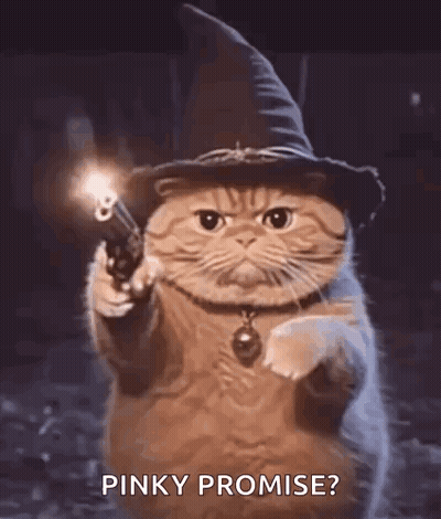 A Cat Wearing A Witch Hat Is Holding A Gun And Pointing It At The Camera . GIF