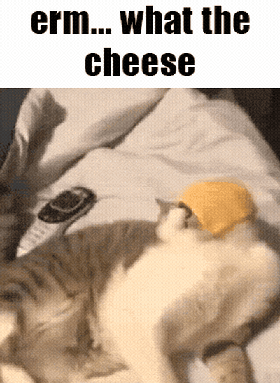 A Cat Wearing A Yellow Hat Is Laying On A Bed With The Words " Erm What The Cheese " Above It GIF