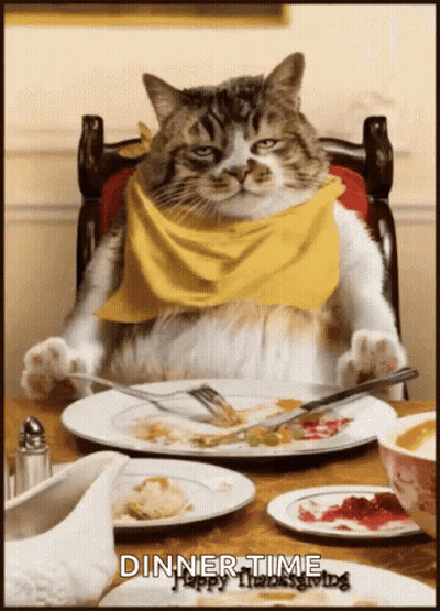 A Cat Wearing A Yellow Scarf Is Sitting At A Table With Plates Of Food And The Words Dinner Time GIF