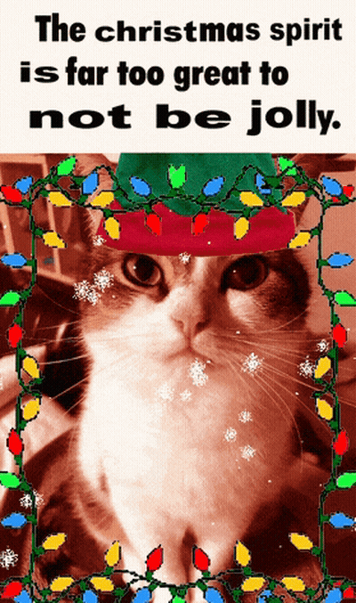 A Cat Wearing An Elf Hat With Christmas Lights In The Background GIF