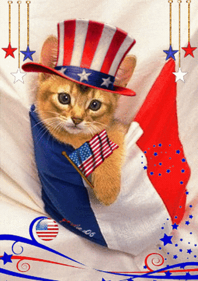 A Cat Wearing An Uncle Sam Hat And Holding A Flag GIF