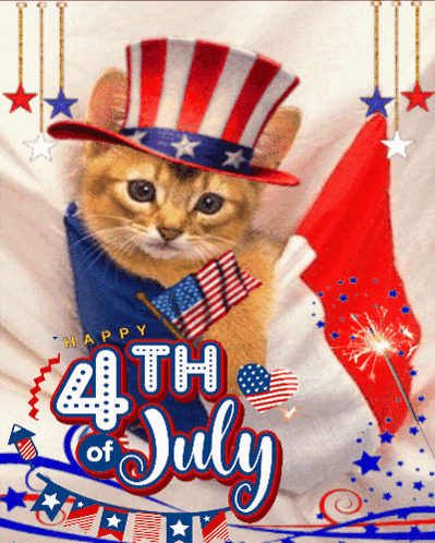 A Cat Wearing An Uncle Sam Hat Is On A 4Th Of July Postcard GIF