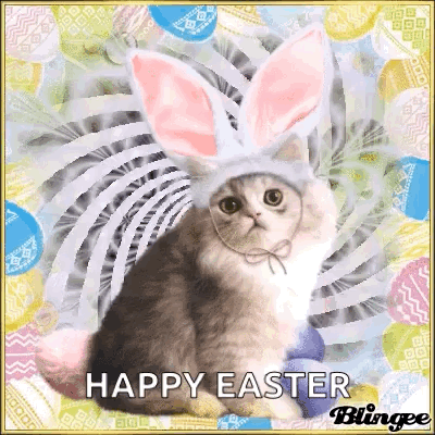 A Cat Wearing Bunny Ears Is Sitting On A Happy Easter Card GIF