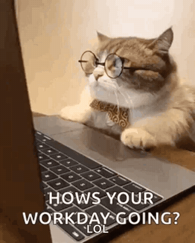 A Cat Wearing Glasses And A Bow Tie Is Laying On A Laptop Computer . GIF